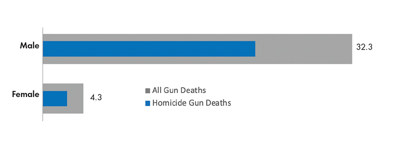 gun death rate, by gender, with insert bar representing homicides. Data are averaged across BCHC cities, 2020. 